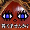 光明影院手机版在线观看官方版